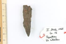 Holzfragment