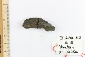 Holzfragment