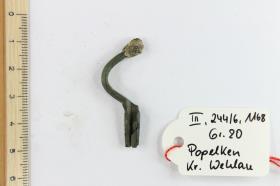 Fibelfragment