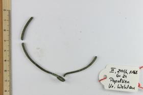 Armring