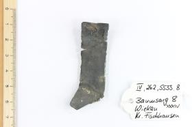 Zaumzeugbeschlag