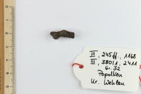 Fibelfragment