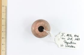 Spinnwirtel
