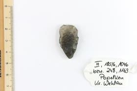 Silex