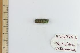 Fibelfragment