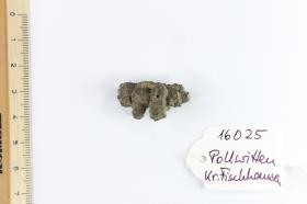 Fibelfragment