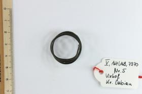 Fingerring