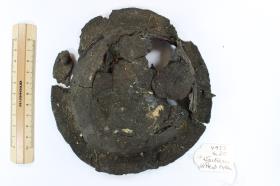 Schildbuckel