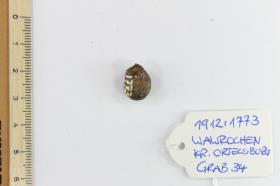 Glasperlen-Fragment mit Knochenresten