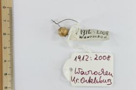 Glasperle
