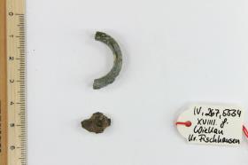 Fibelfragment