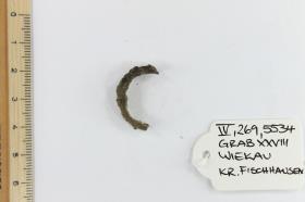Fingerring