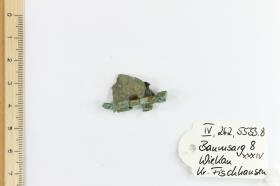 Gürtelschnallenfragment
