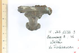Fibelfragment