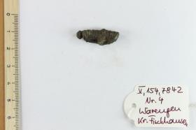 Fibelfragment