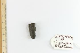 Fibelfragment