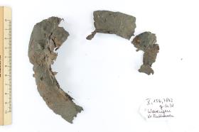 Schildbuckel