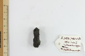 Fibelfragment