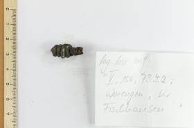 Fibelfragment