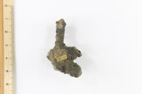 Gürtelschnallenfragment