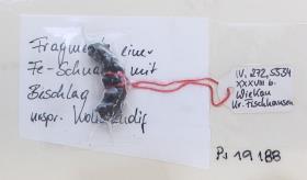 Gürtelschnallenfragment