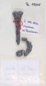 Eisenfragment