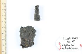 Fibelfragment