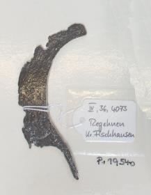 Rasiermesser