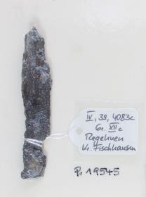 Schildfessel