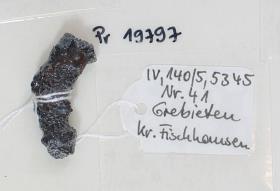 Fibelfragment
