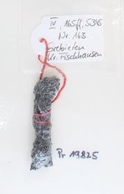 Eisenfragment