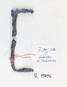 Gürtelschnallenfragment