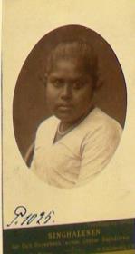 Singhalesen der Carl Hagenbeck'schen Ceylon Expedition