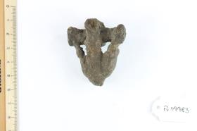 Fibelfragment