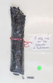 Schildfessel