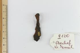 Riemenzunge
