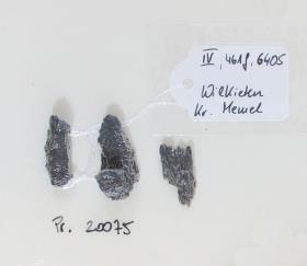 Eisenfragment