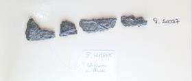 Eisenfragment