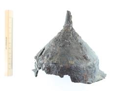 Schildbuckel