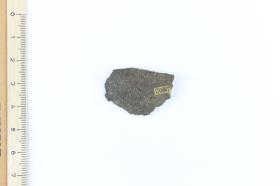 Fragment