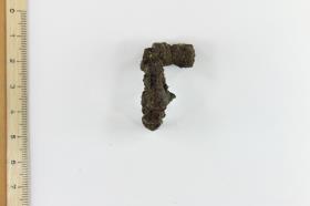 Fibelfragment