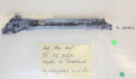 Schildfessel