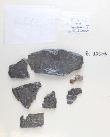 Schildbuckel