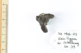 Fibelfragment