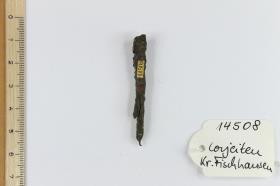 Eisenfragment