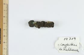 Fibelfragment