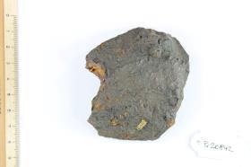 Schildbuckel