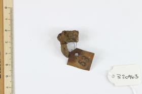 Fibelfragment