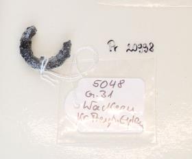 Gürtelschnallenfragment