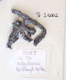 Gürtelschnallenfragment